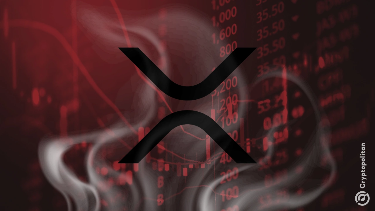 XRP上扬势惊人，一夜飙升MATIC%，加密市场沸腾