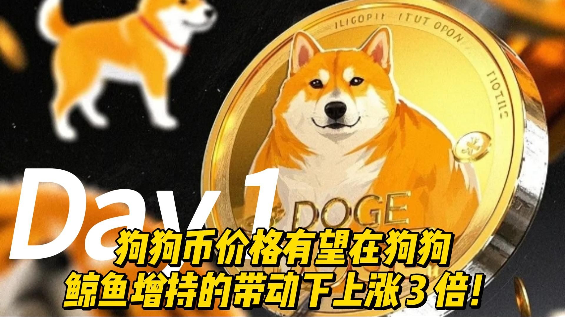 狗狗币上扬势惊人，一夜飙升33.65%，加密市场沸腾
